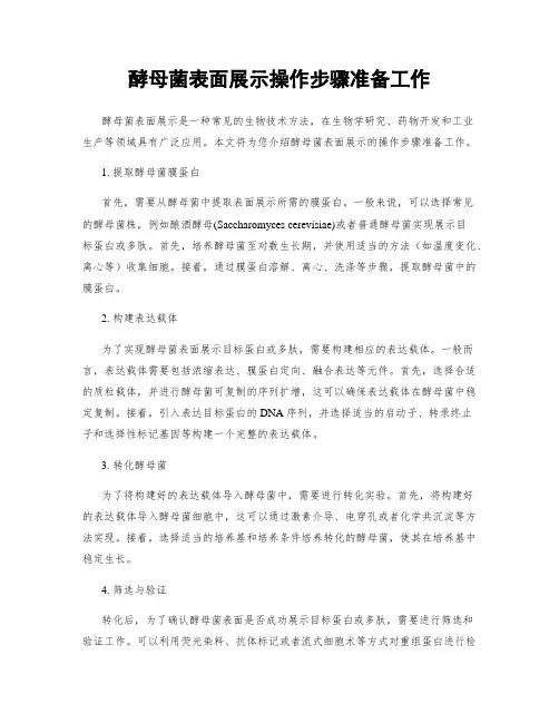 酵母菌表面展示操作步骤准备工作