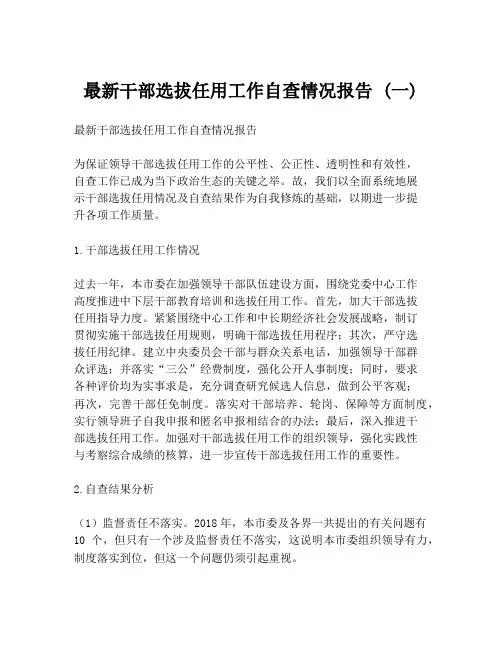 最新干部选拔任用工作自查情况报告 (一)