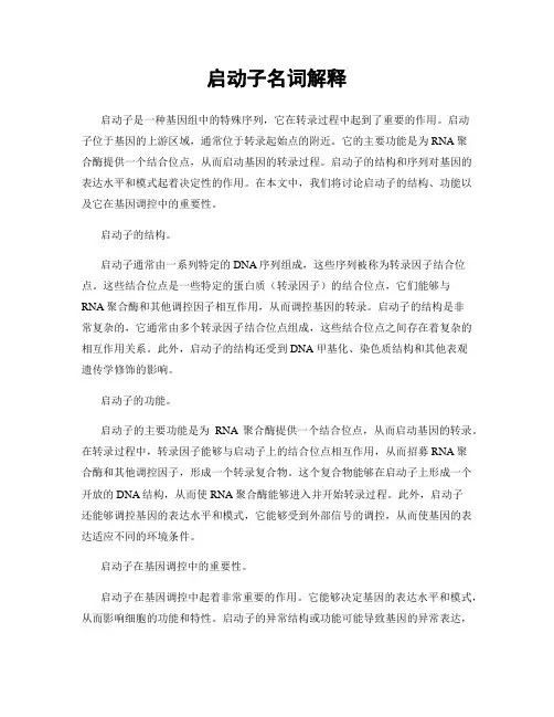 启动子名词解释
