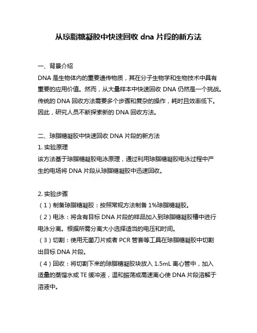 从琼脂糖凝胶中快速回收dna片段的新方法
