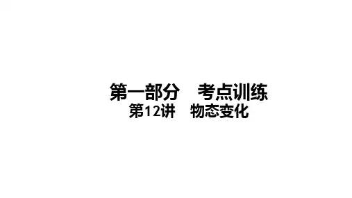 2024年中考福建专用物理一轮知识点梳理复习第12讲 物态变化