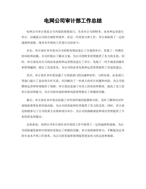 电网公司审计部工作总结