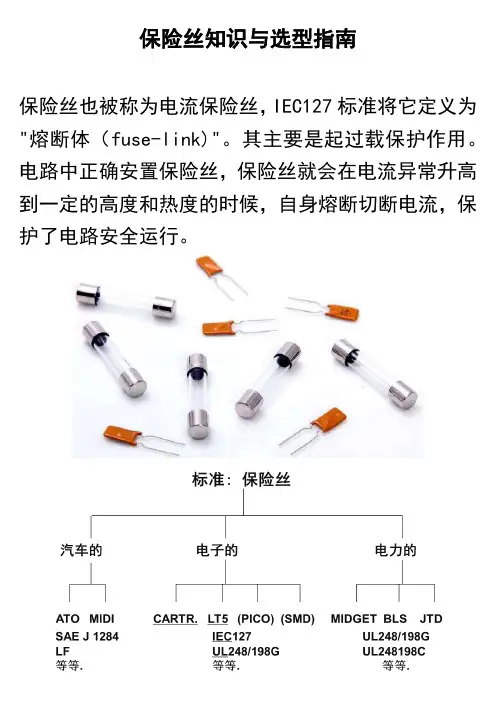 保险丝知识与选型指南
