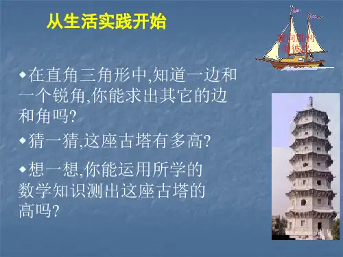 1.1从梯子的倾斜程度谈起第1课时