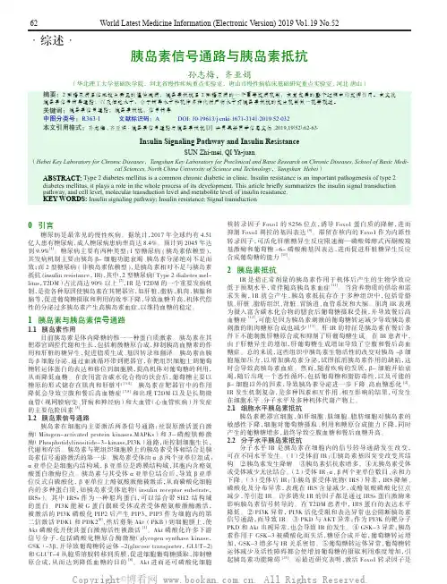 胰岛素信号通路与胰岛素抵抗