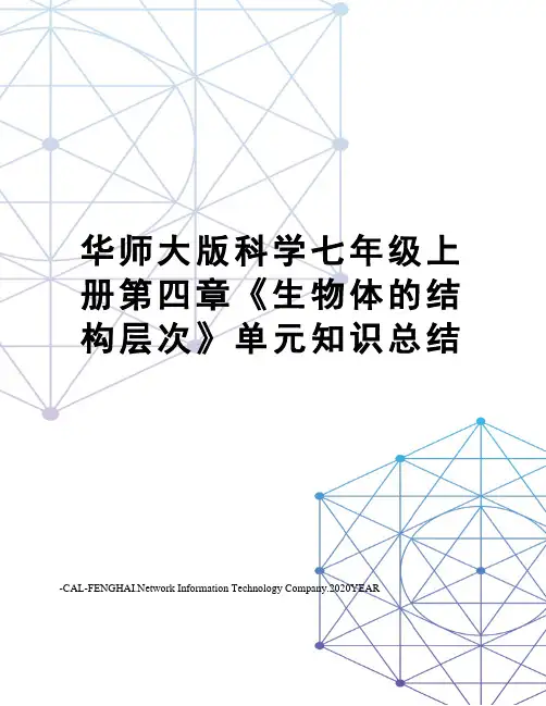 华师大版科学七年级上册第四章《生物体的结构层次》单元知识总结