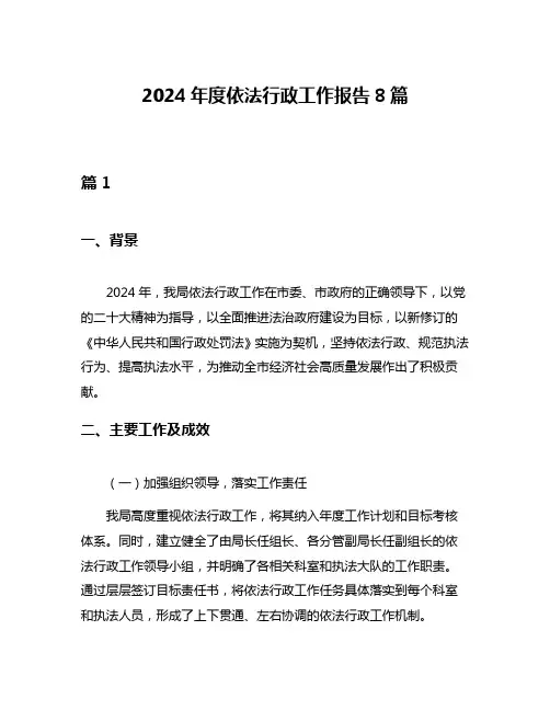 2024年度依法行政工作报告8篇