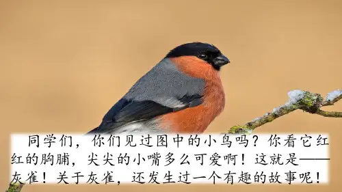 部编版三年级语文上册26灰雀课件PPT