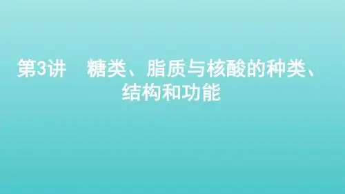 2020版高考生物一轮复习第一单元第3讲糖类、脂质与核酸的种类、结构和功能课件