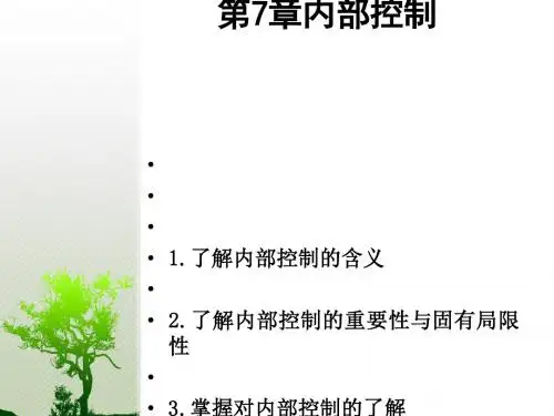 审计学之内部控制(ppt28张)