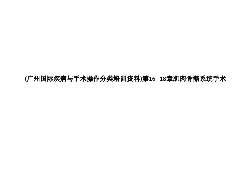 肌肉骨骼系统手术
