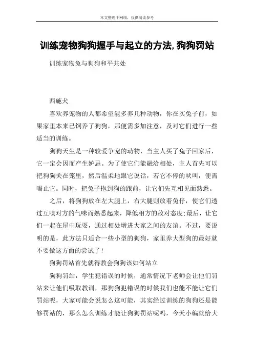 训练宠物狗狗握手与起立的方法,狗狗罚站