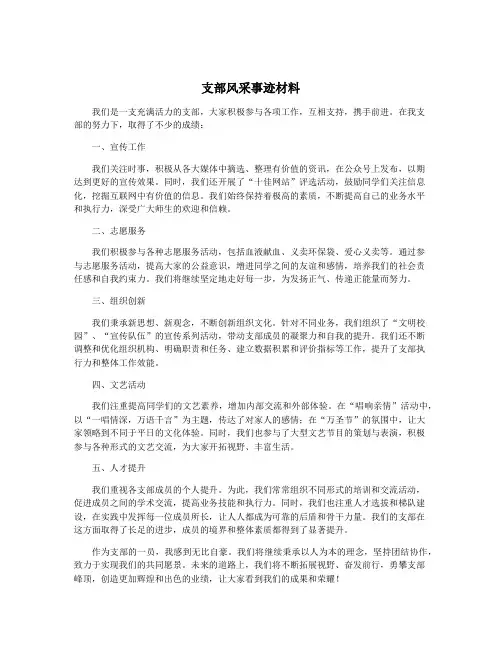 支部风采事迹材料