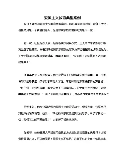 爱国主义教育典型案例