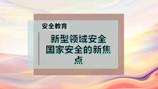 新型领域安全  国家安全的新焦点