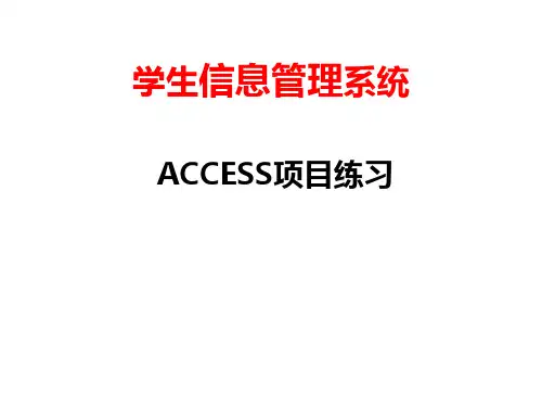 access项目124P