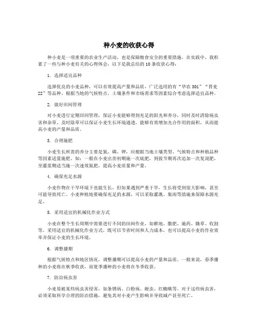 种小麦的收获心得