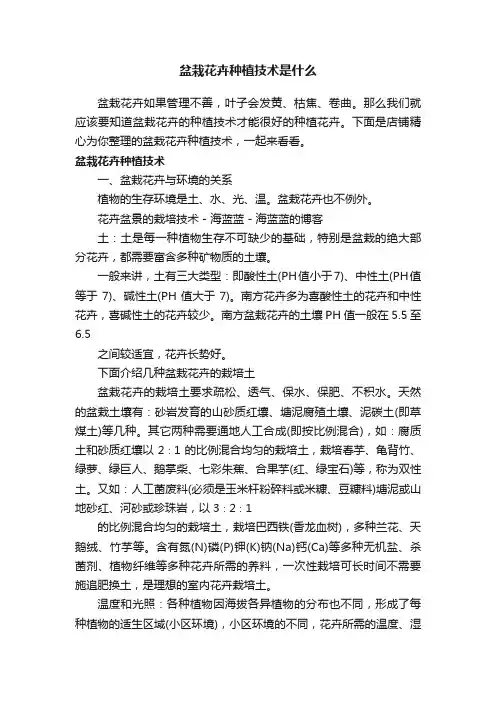 盆栽花卉种植技术是什么