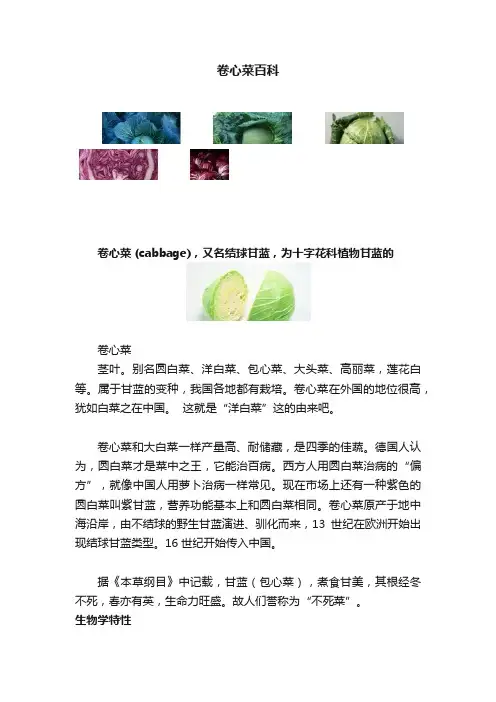 卷心菜百科