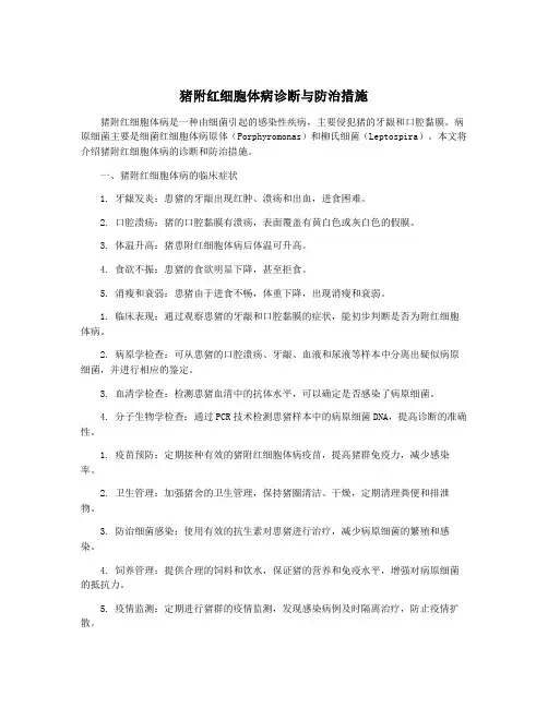 猪附红细胞体病诊断与防治措施
