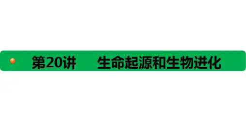 初中生物第20讲生命起源和生物进化
