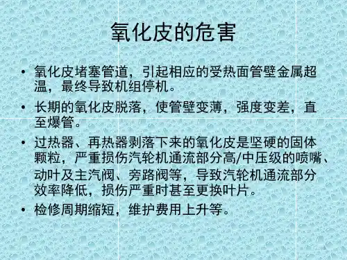 氧化皮的研究与防治PPT课件