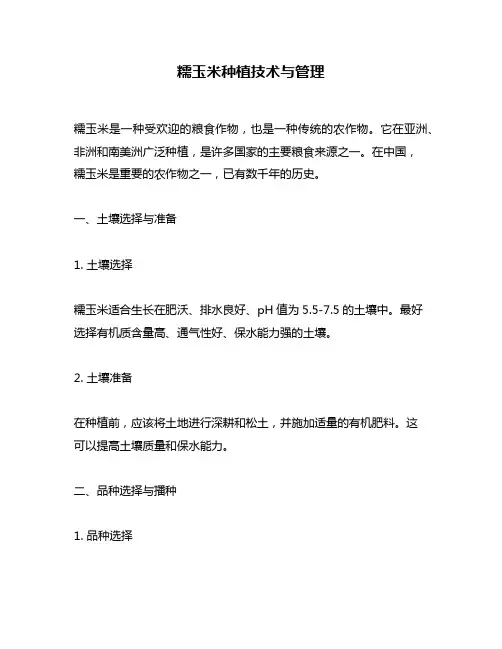 糯玉米种植技术与管理