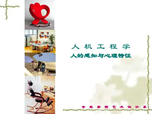 人 机 工 程 学-人的感知与心理特征