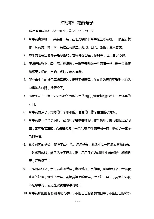 描写牵牛花的句子