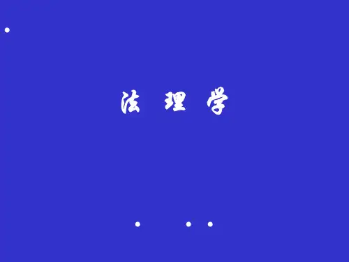 法理学授课课件 第九章 权利和义务