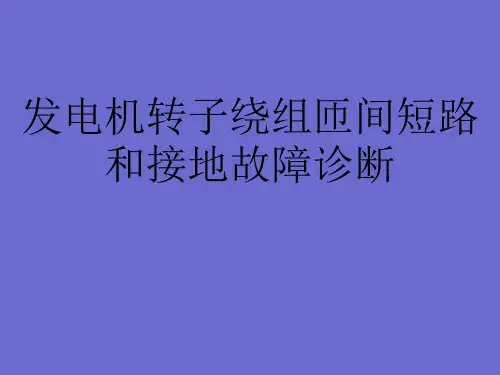发电机转子匝间短路和接地故障