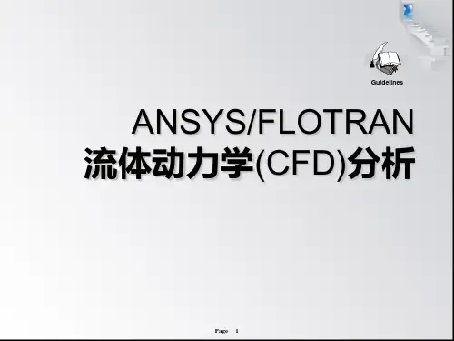 流体动力学(CFD)分析.