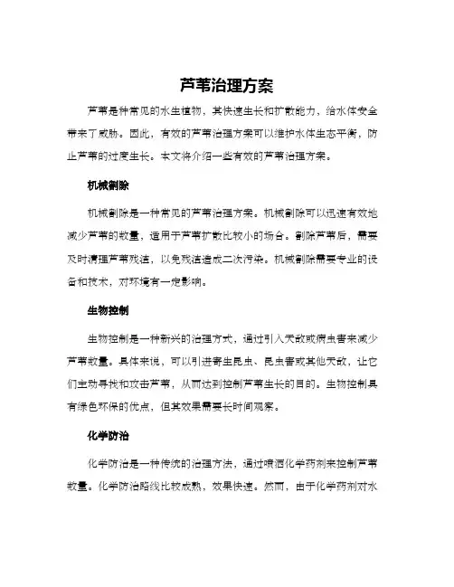 芦苇治理方案