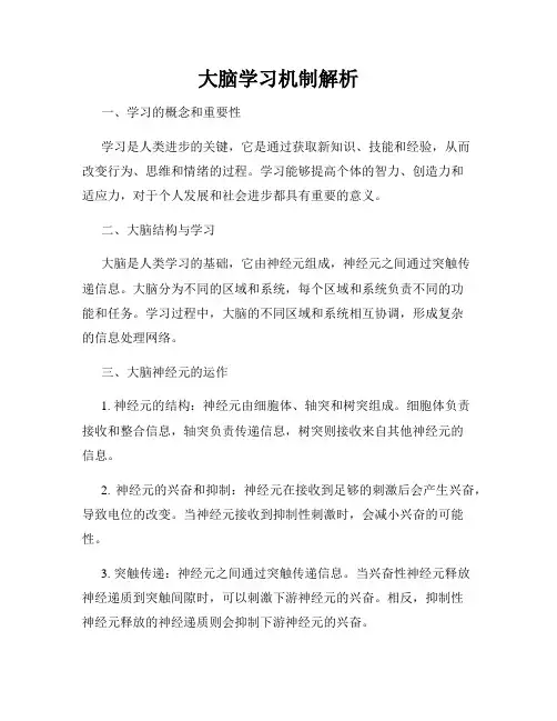 大脑学习机制解析