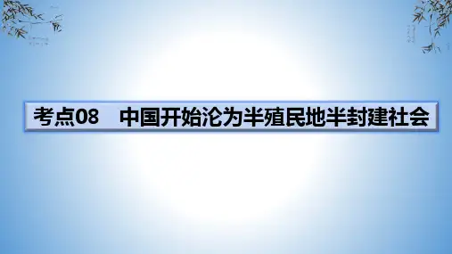 考点08中国开始沦为半殖民地半封建社会-2025年中考历史一轮通关复习(部编版)
