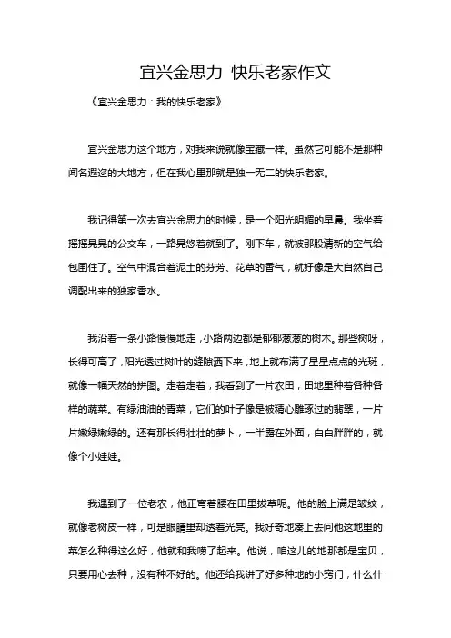 宜兴金思力 快乐老家作文