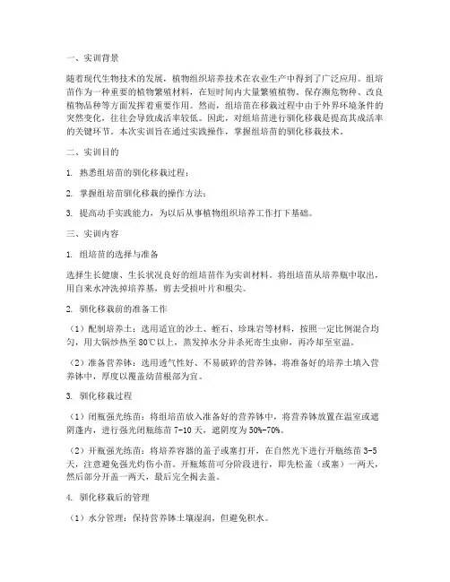 驯化移栽实训报告