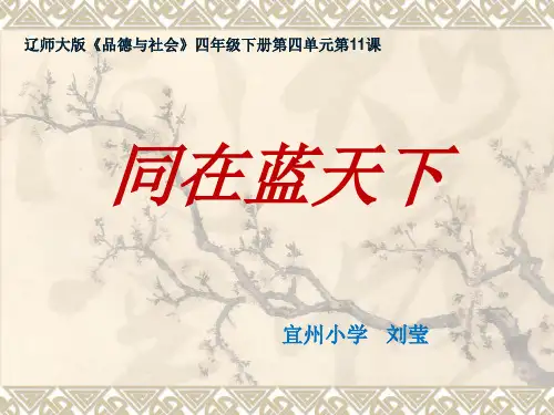 辽师大版思品与社会四下4.2同在蓝天下PPT课件3