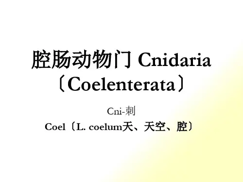 腔肠动物门