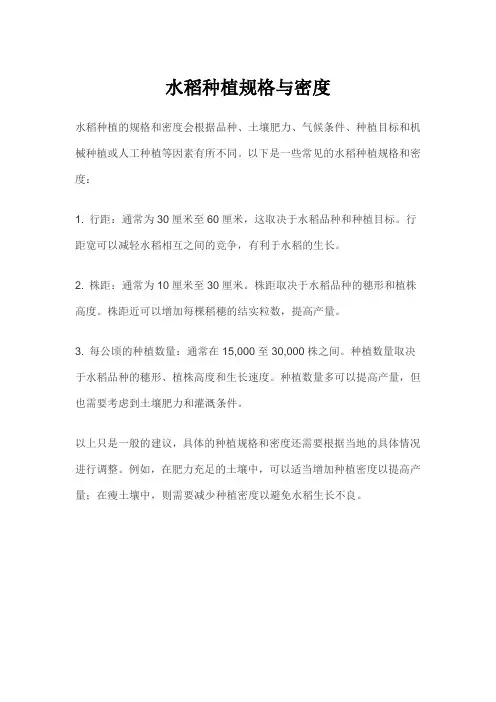 水稻种植规格与密度