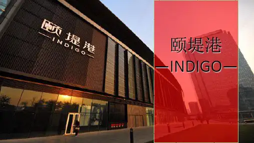 颐堤港项目介绍ppt课件