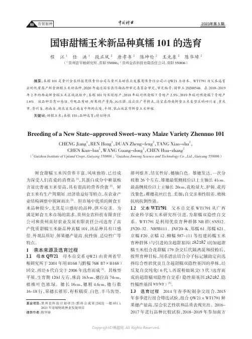211219932_国审甜糯玉米新品种真糯101的选育