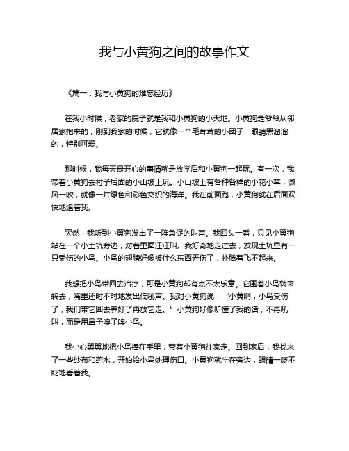 我与小黄狗之间的故事作文