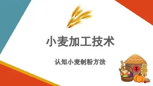 小麦制粉操作—认知小麦制粉方法