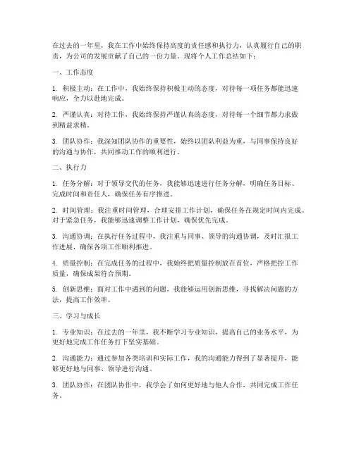 个人工作总结执行力