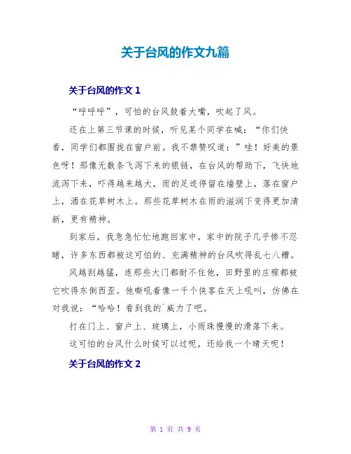 关于台风的作文九篇