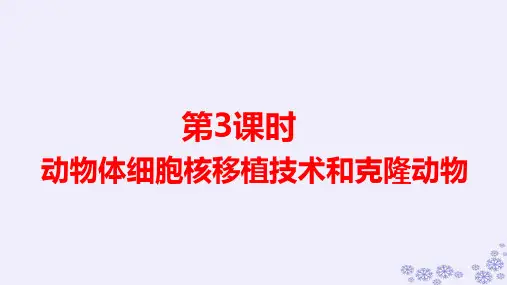 新教材高中生物第2章第3课时动物体细胞核移植技术和克隆动物pptx课件新人教版选择性必修3