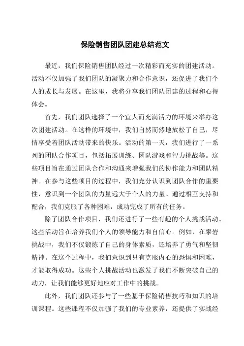 保险销售团队团建总结范文