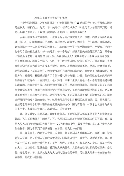 真善美作文