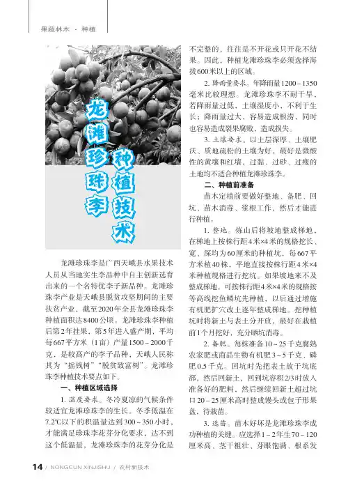 龙滩珍珠李种植技术